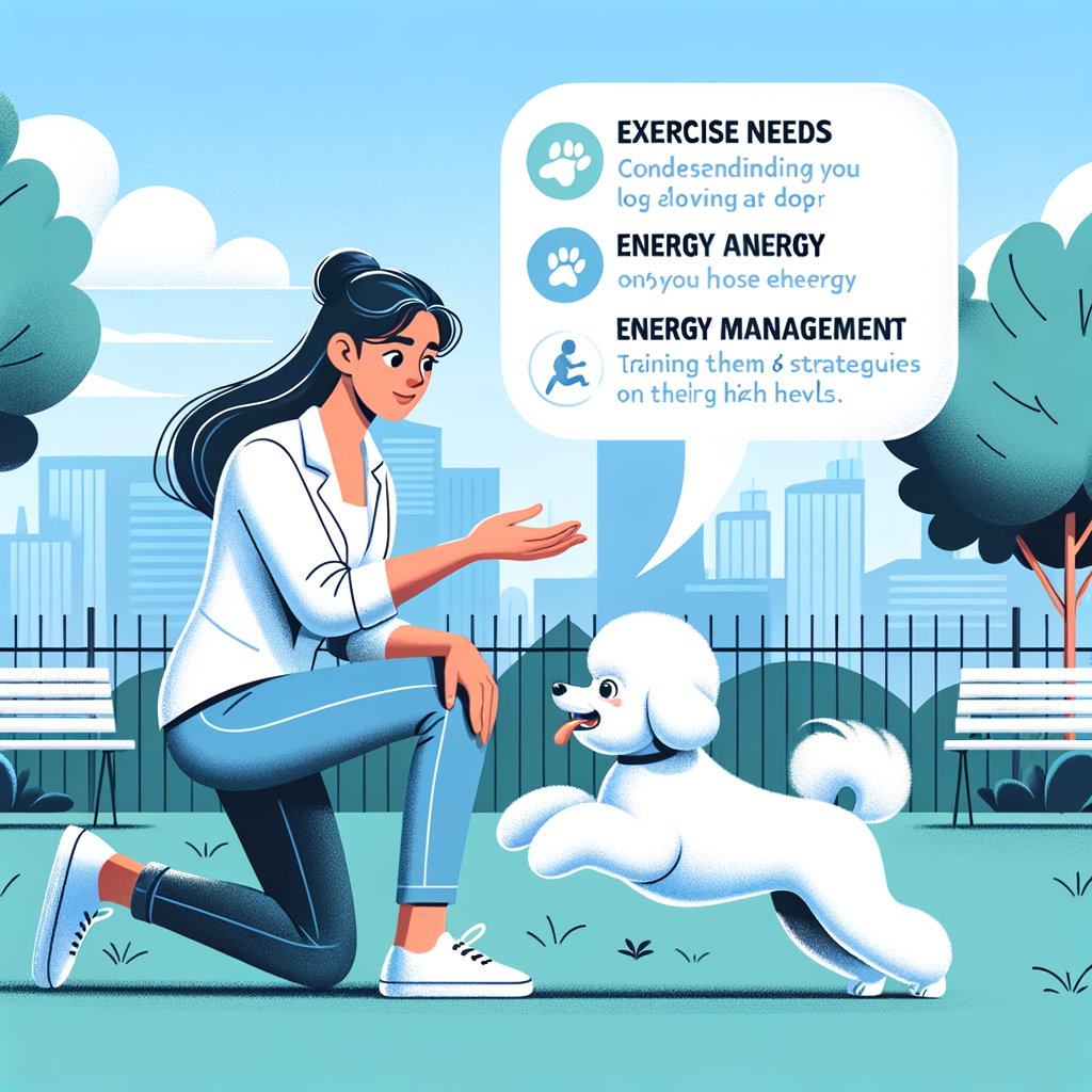 Professional trainer demonstrating Bichon Frise exercise needs and energy management in a park, with tips on understanding Bichon Frise behavior, care, training, and managing their high activity level and playful temperament.
